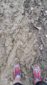 12509662_1067290093292605_4258124042007815954_n