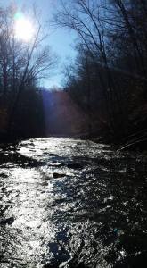 1933966_1067290169959264_976445555196078971_n