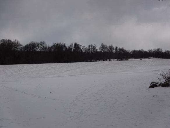 Susquehanna State Park - Land of Promise