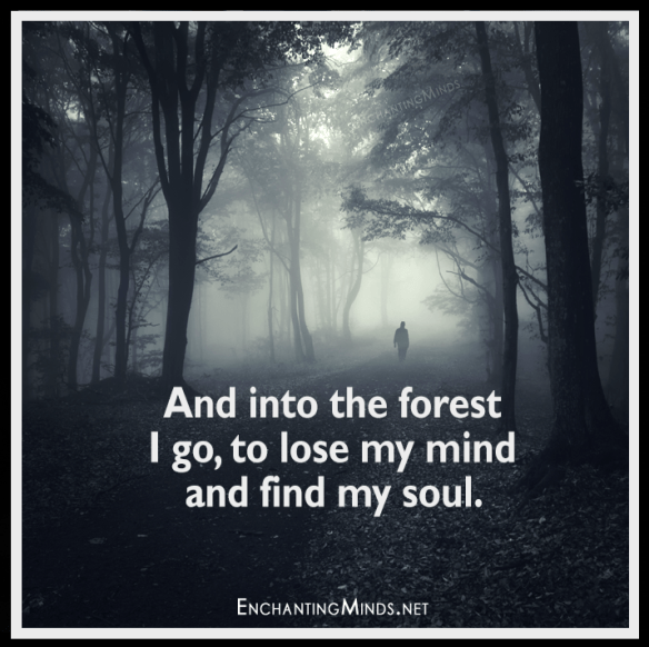 And-into-the-forest-I-go-to-lose-my-mind-and-find-my-soul.